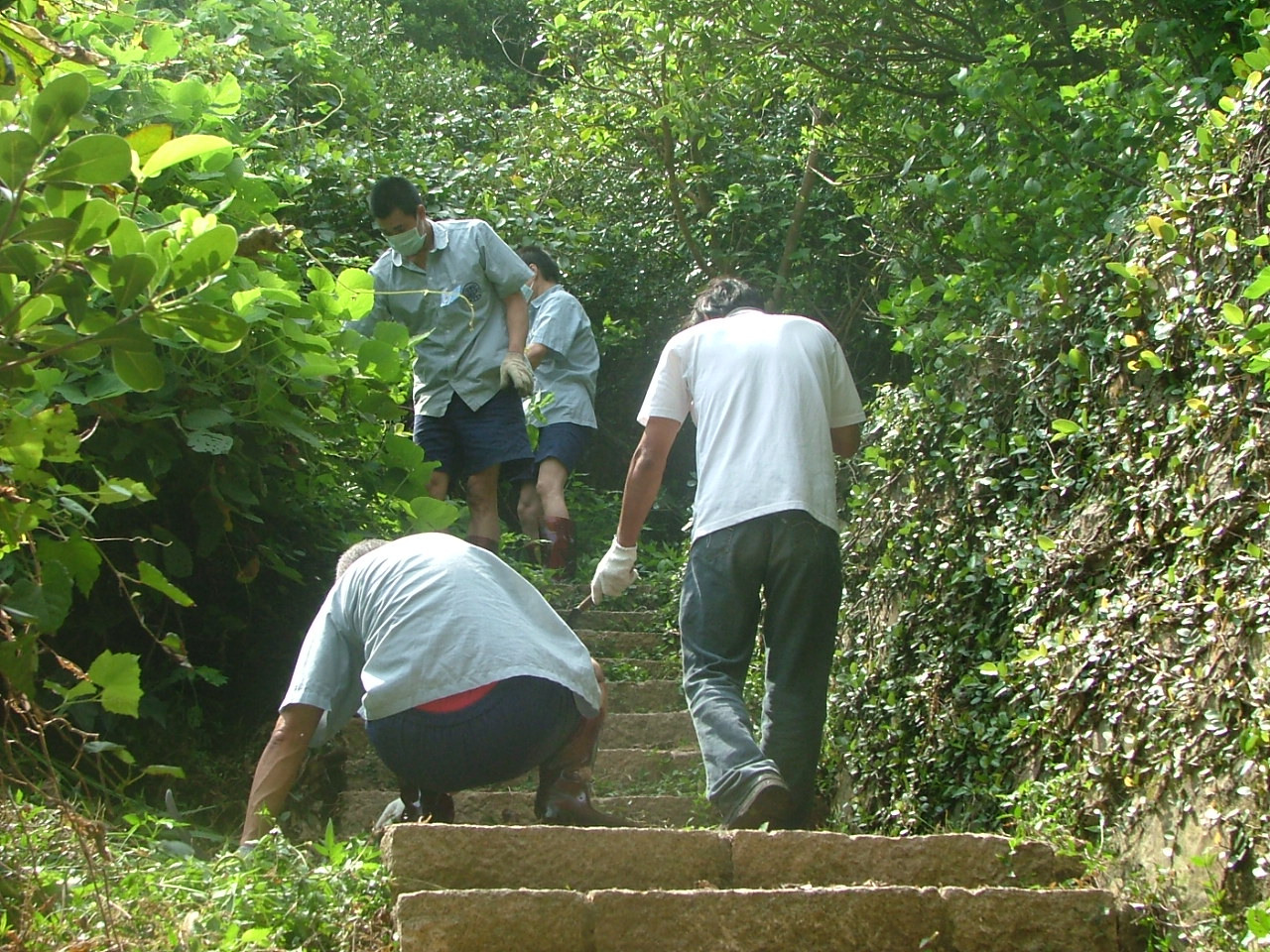 社會勞動人及收容人清除步道雜草