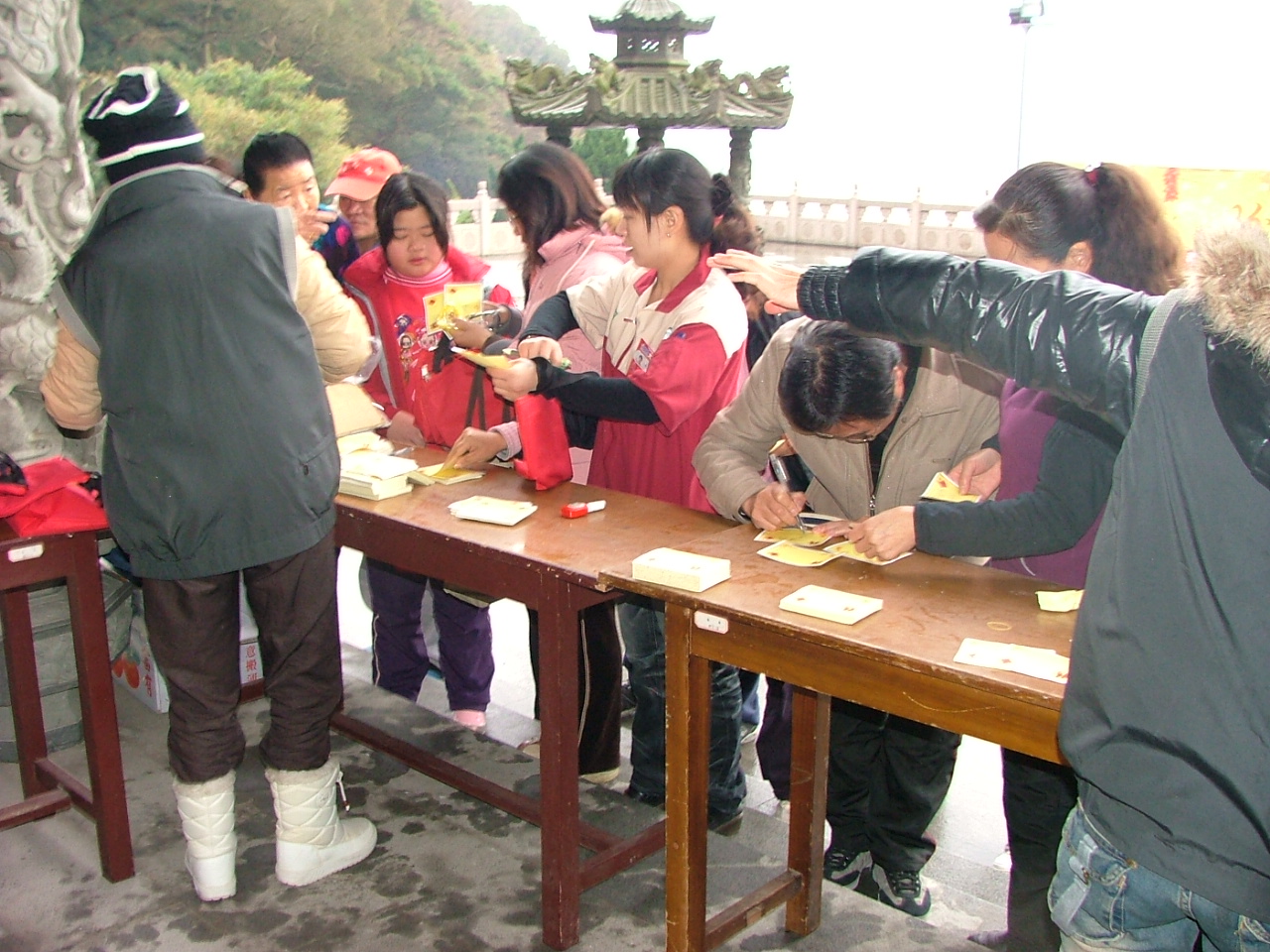 祈願樹活動1