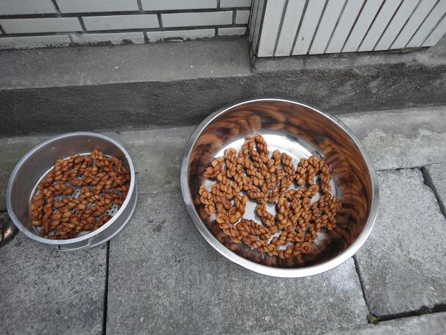 成品
