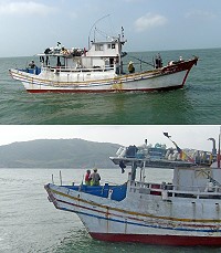 在地籍漁船違法近岸一千公尺內作業　海巡隊依法取締