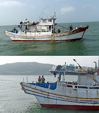 在地籍漁船違法近岸一千公尺內作業 海巡隊依法取締