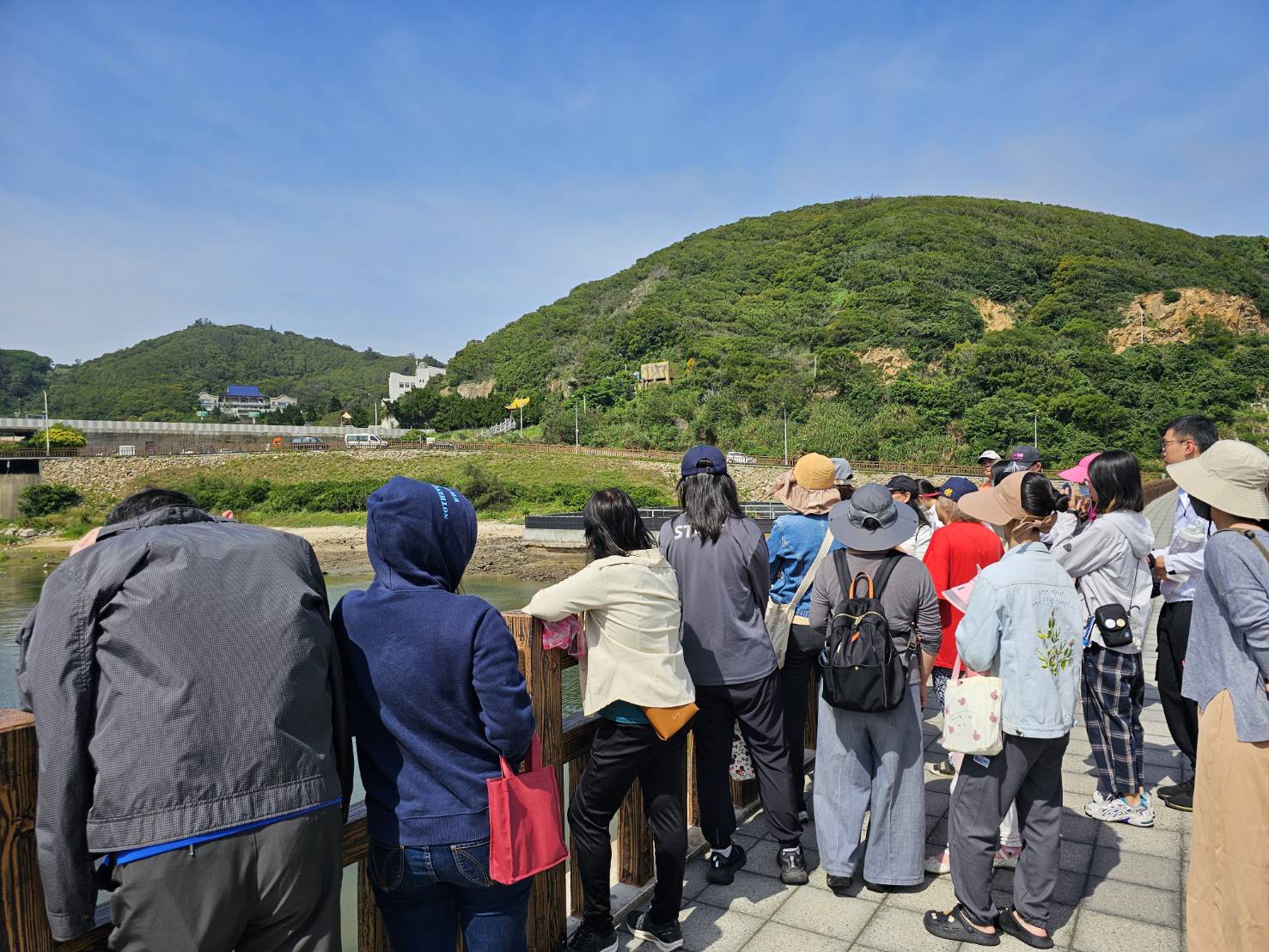 113-05-19花言草語話馬祖活動法律宣導 (3)