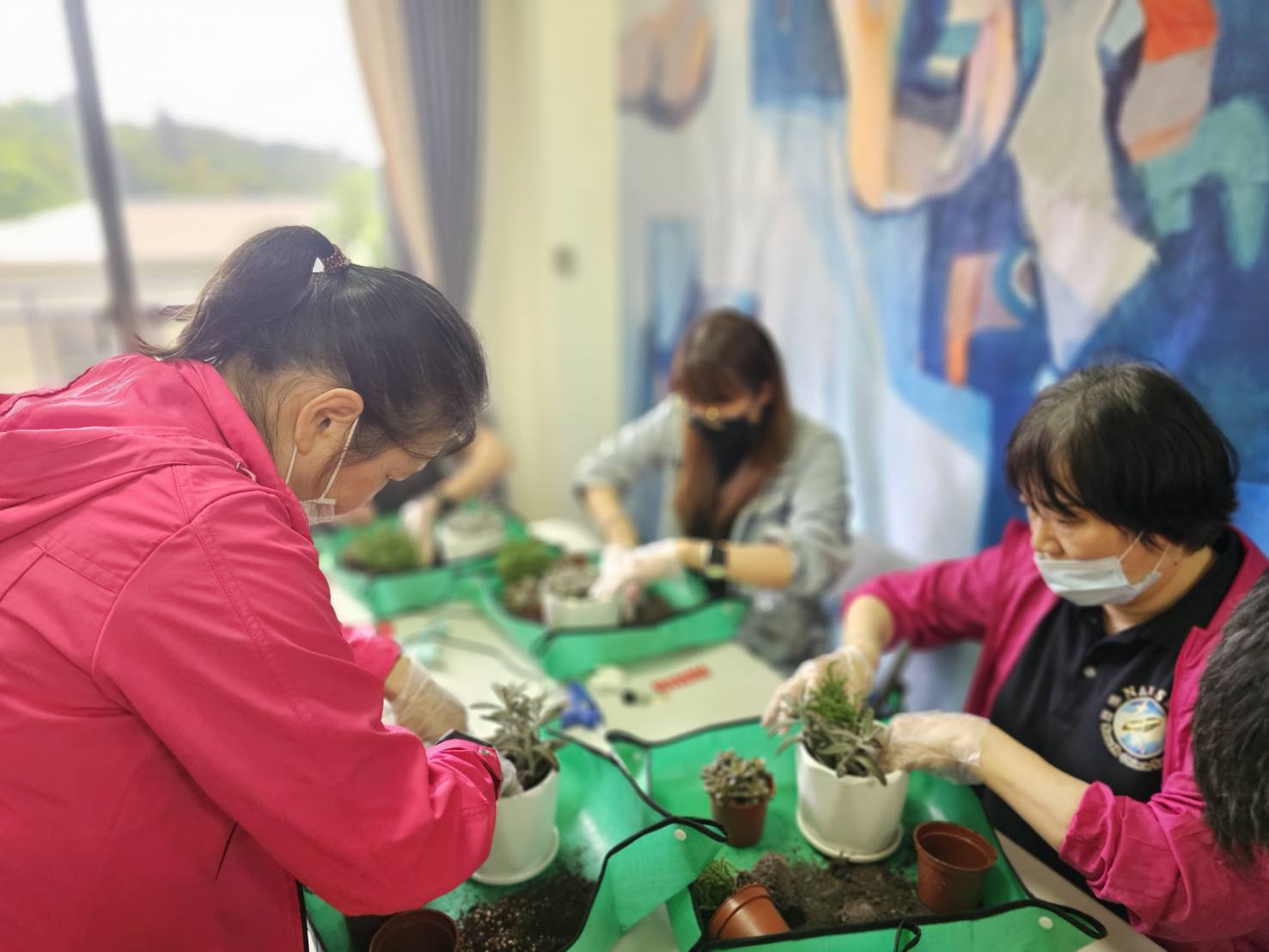 114-05-24犯保連江分會 【多肉盆栽手作】 (4)